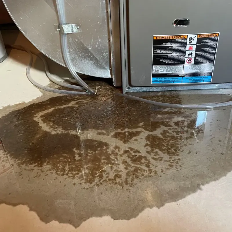 Pipe Burst and Leak Restoration in Charles County, MD