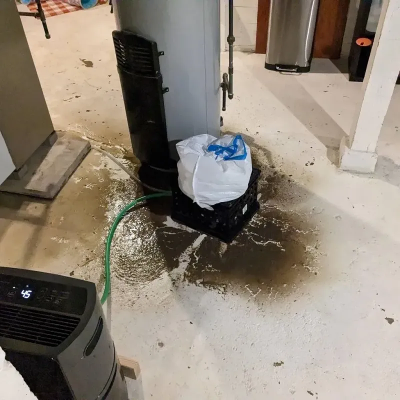 Sewage Backup Cleanup Service in Charles County, MD